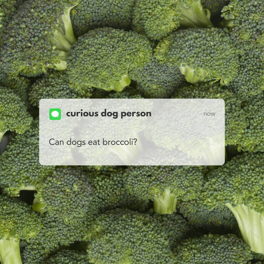 Close-up of fresh broccoli florets with a text overlay