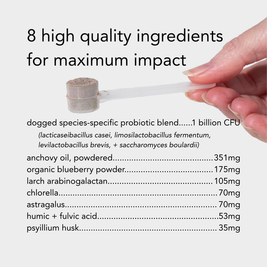 Hand holding a scoop with a list of high-quality ingredients for a product on a white background