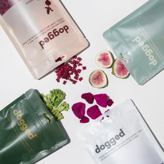 all new superfood toppers from dogged