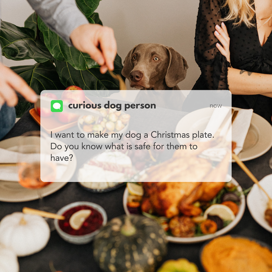 A Canine Holiday Feast: What your dog can and can't eat