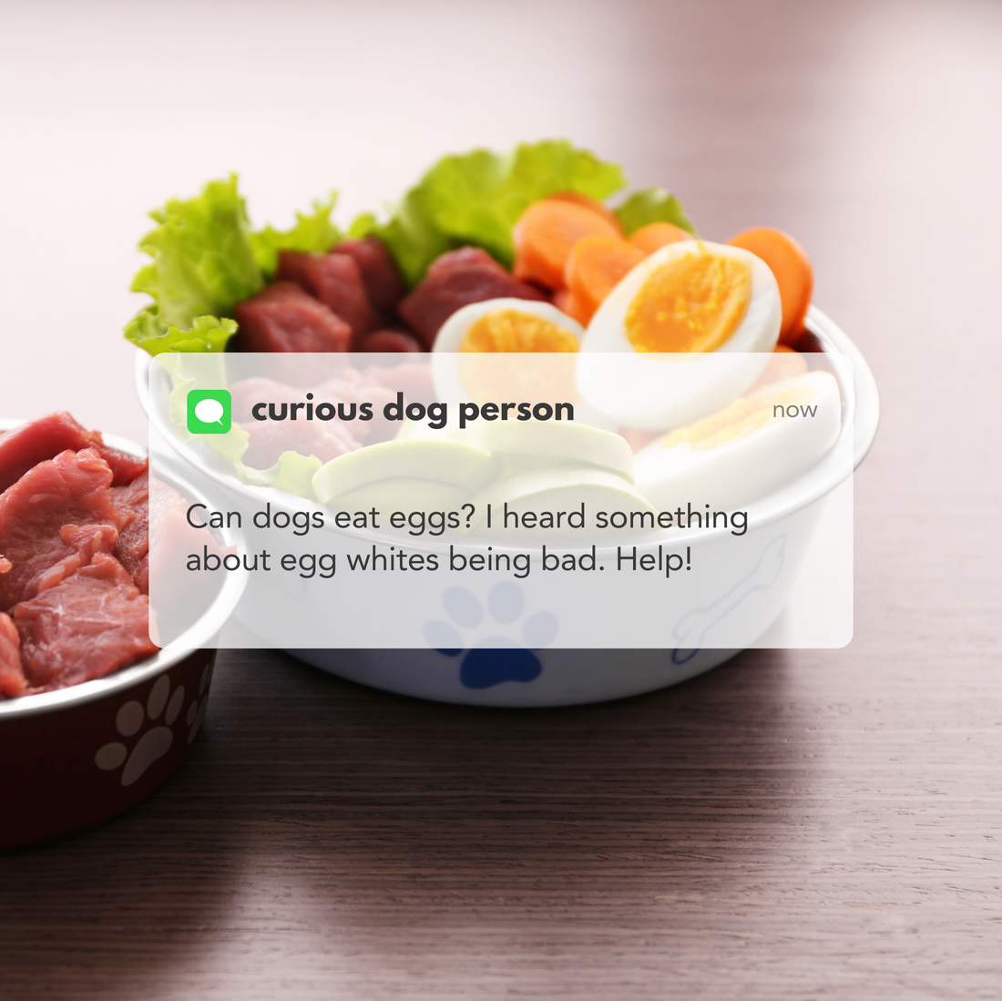 Dog food bowl filled with hard-boiled eggs, fresh meat, and vegetables, asking 'Can dogs eat eggs?'