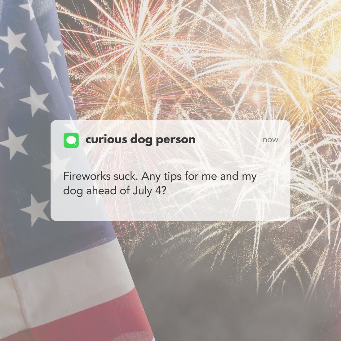 Fireworks Suck: How to Keep Your Dog Calm and Safe During Fireworks Season