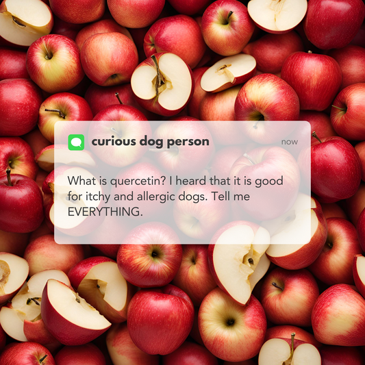 Quercetin for Dogs with Allergies: A Natural Solution for Inflammation and Seasonal Allergies
