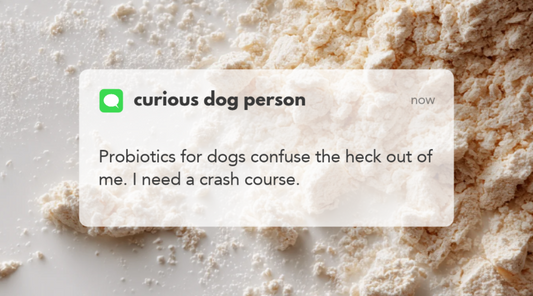 Dog Probiotics: The Ultimate Canine Gut Health Guide