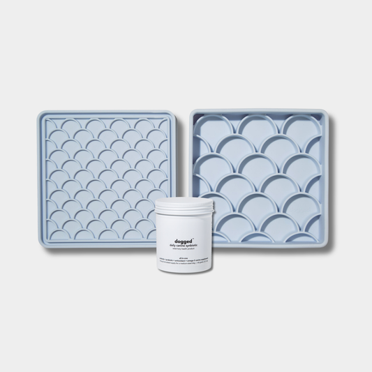 3-in-1 fish scale slow feeder in sky & DCS bundle