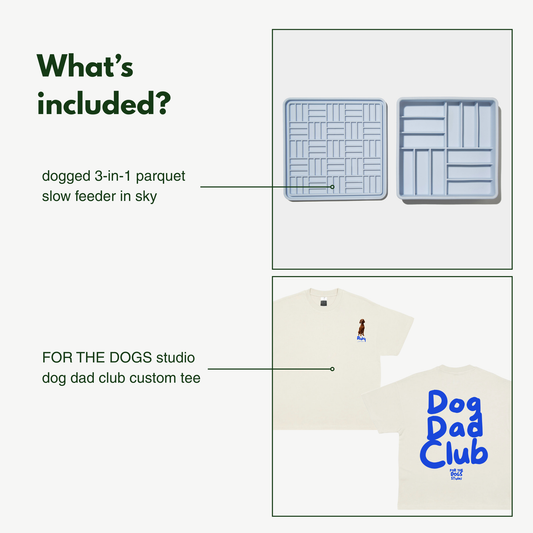 FTDS bundle: custom tee + 3-in-1 parquet slow feeder sky