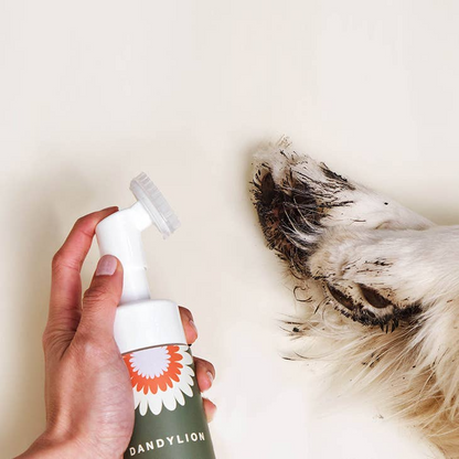 DANDYLION - Clean Paws No-Rinse Foaming Cleanser | Dog Paw Washer