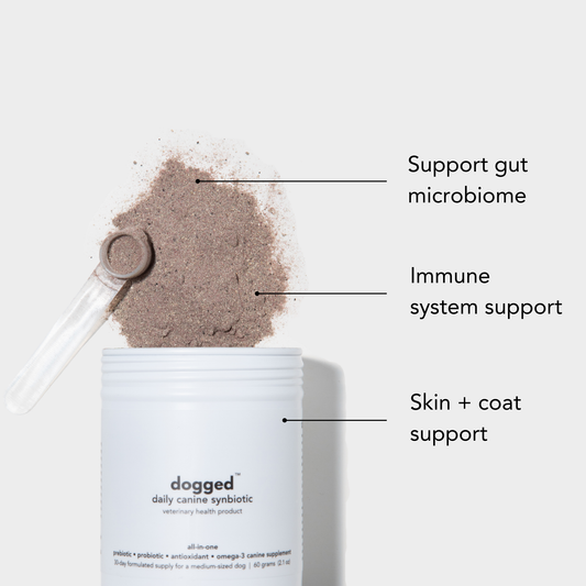 Dogged daily canine probiotic packaging with text highlighting benefits on a light background