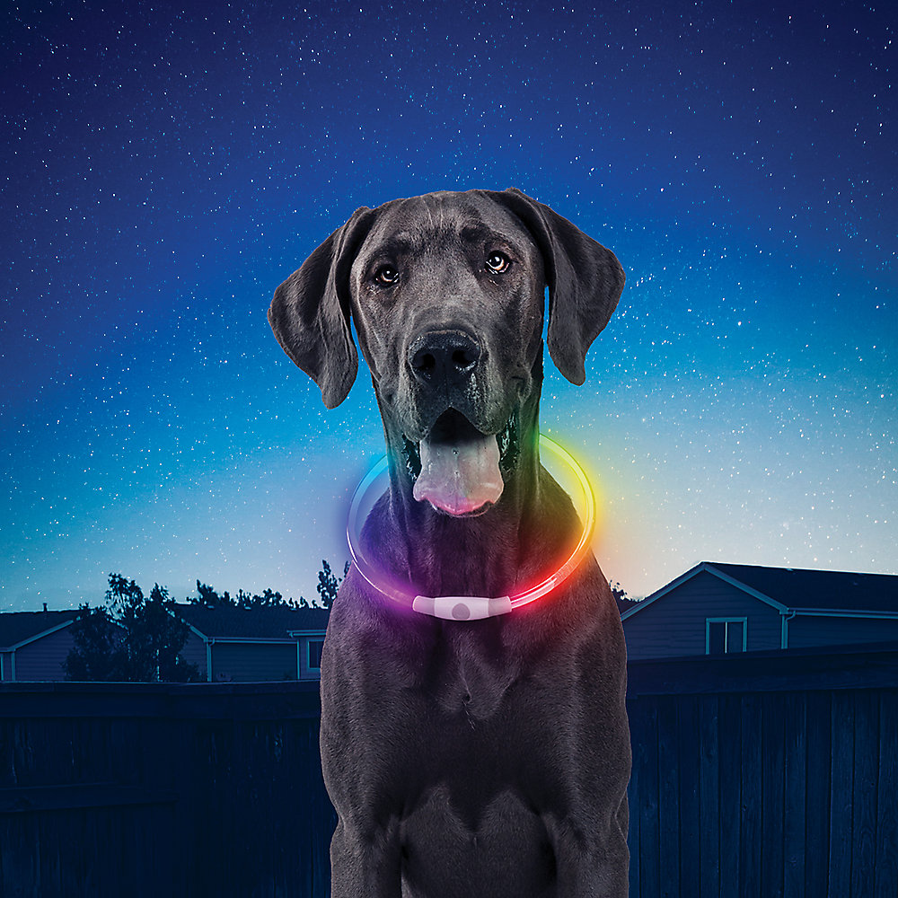 Nite Ize - Rechargeable Disco Dog Collar Necklace Light