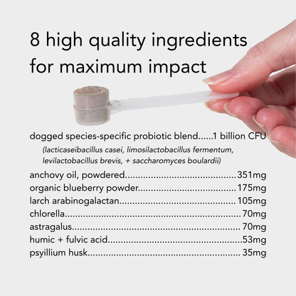 Hand holding a scoop with a list of high-quality ingredients for a product on a white background