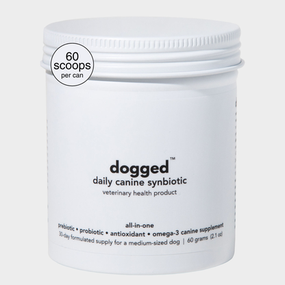 White container of 'dogged' daily canine synbiotic on a light gray background. Probiotic and omega-3 dog supplement