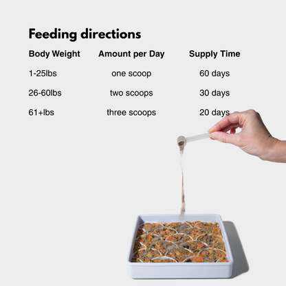 Feeding directions for Dogged dog probiotic supplement powder – one to three scoops per day based on dog body weight, shown being sprinkled over fresh dog food