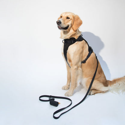 dogged basics harness - black