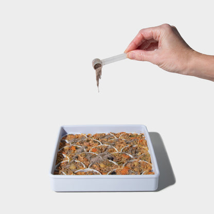 Hand holding a spoon over a dish of food on a white background