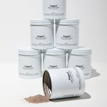 Stack of dogged daily canine synbiotic products on a white background