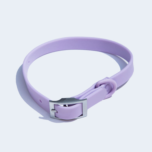 dogged basics collar - lavender