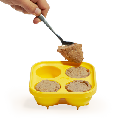 Woof - The Power Chewer Pupsicle Enrichment Dog Toy + Treat Mold