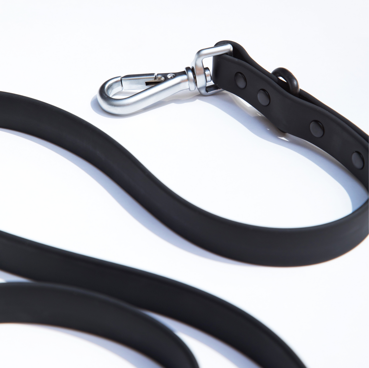 dogged basics leash - black