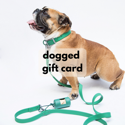 dogged Gift Card