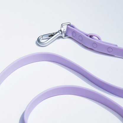 dogged basics leash - lavender