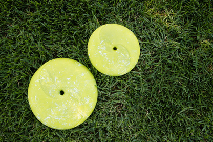 P.L.A.Y. - ZoomieRex Floatable Dog Frisbee Disc