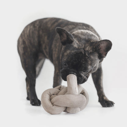 Lambwolf - NOU Crinkle Enrichment Dog Toy